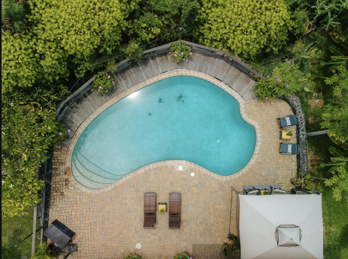 The Koi House With Pool Apartment Kailua-Kona Luaran gambar